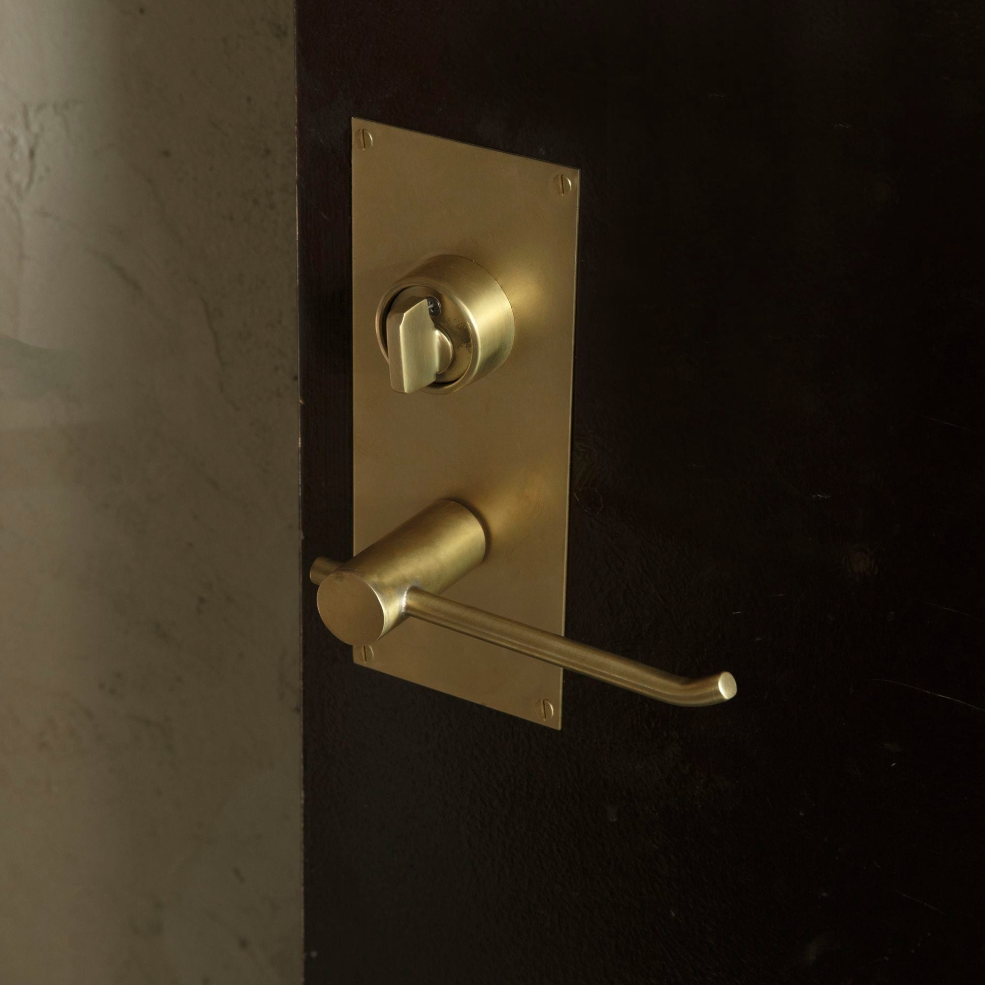 取り換え用目隠しプレート