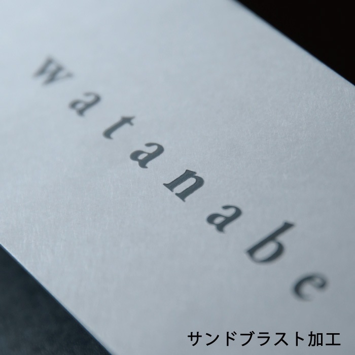 【Haco】インターフォンカバー表札 二世帯(ステンレス)