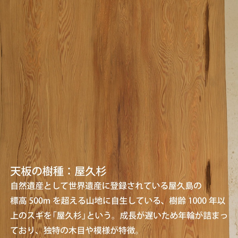 カウンター用 無垢天板 屋久杉 W2120