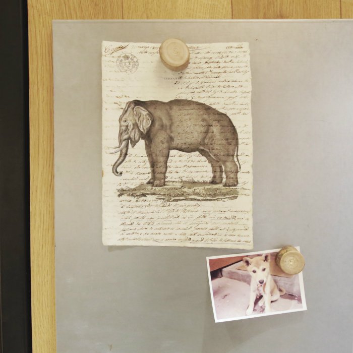 こぶしの木のマグネット