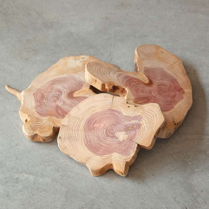 【ナンナロ】貝塚伊吹のプレート