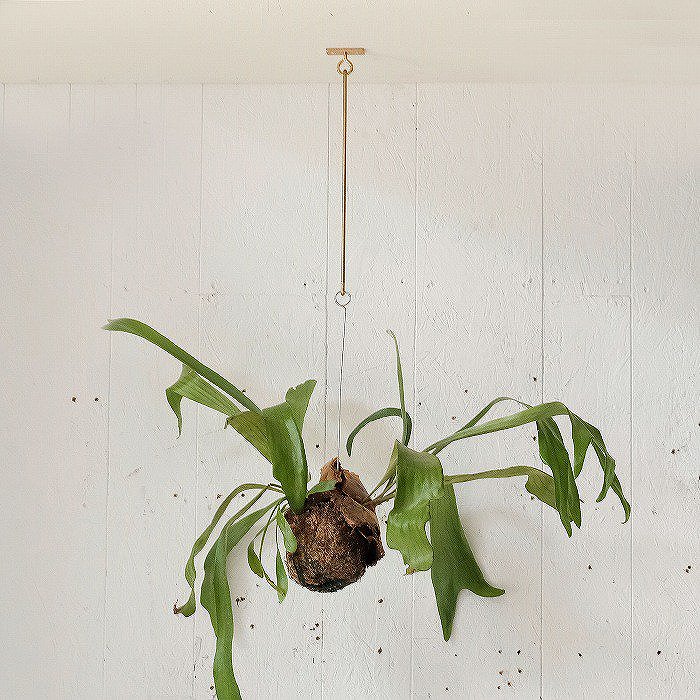 真鍮 ハンギングフック φ3mm