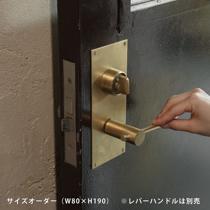 取り換え用目隠しプレート