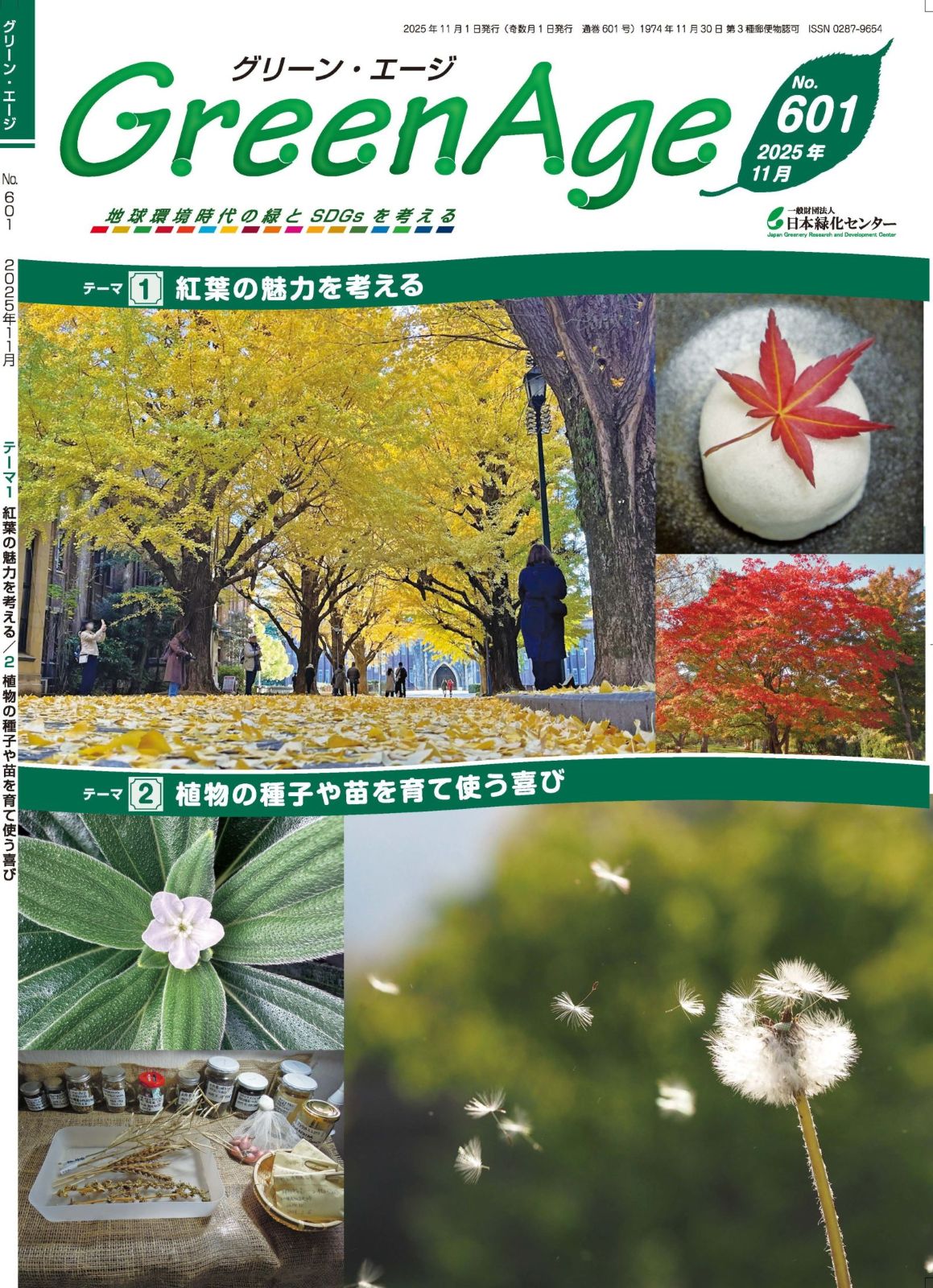 ꡼󡦥 No.601_2025ǯ11ʹդ̥Ϥͤ롿ʪμҤĤƻȤӡ