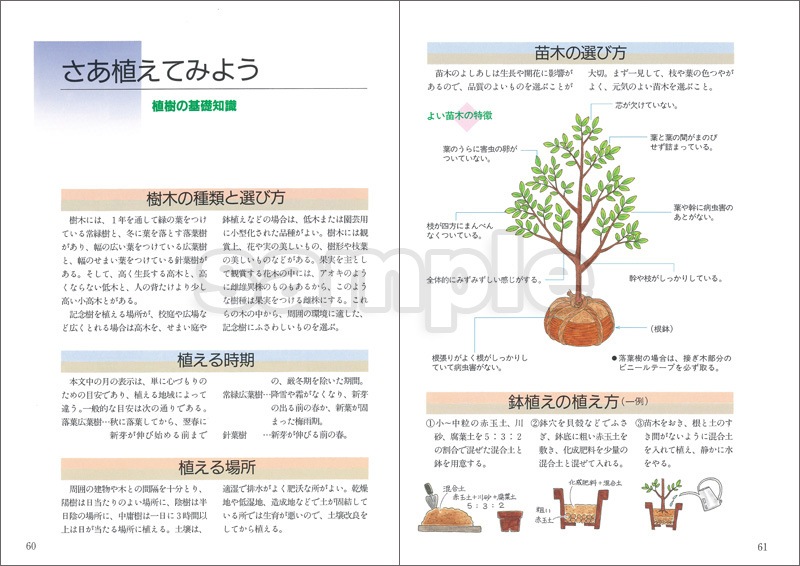 �ڤ򿢤��褦������ǰ���ˤդ��路���ڤȤ��Τ���졽