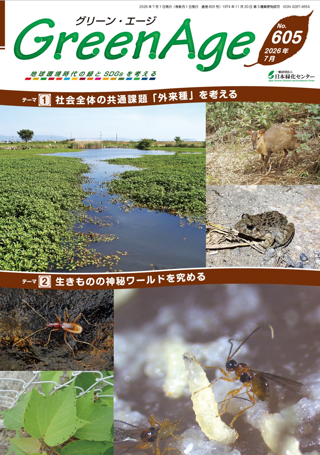 ���꡼�󡦥����� No.605_2026ǯ7��ʼҲ����Τζ��̲���ֳ����פ�ͤ��롿������Το�����ɤ�����