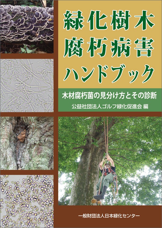 в³ϥɥ֥åںݤθʬȤοǡ