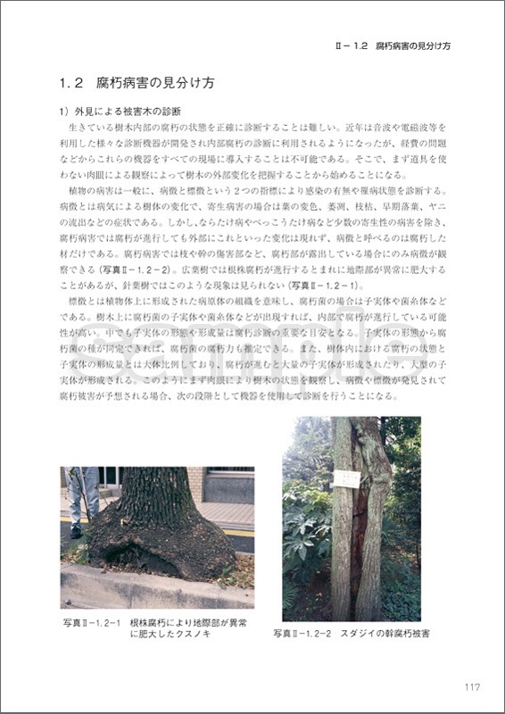 в³ϥɥ֥åںݤθʬȤοǡ