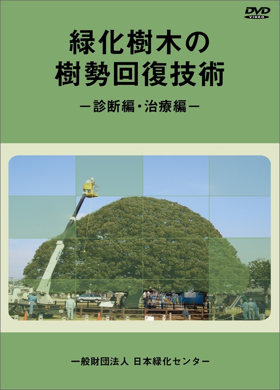 DVD���в����ڤμ����������ѡ��������ԡ������ԡ�