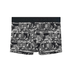 boxer briefs vegas (403150-p004)