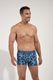 ASIA Boxer Briefs HO1 �ץ��� 403012-P0NB