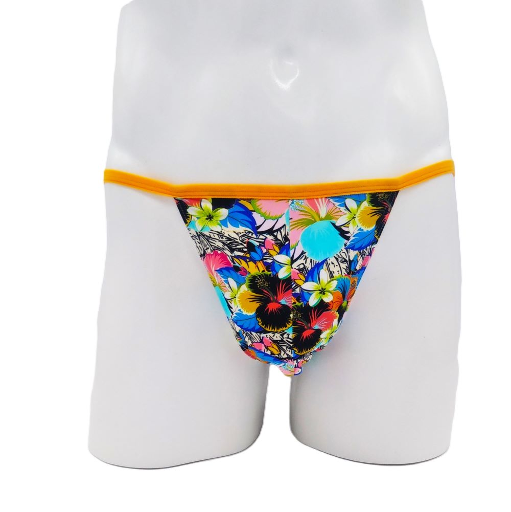 ASIA Tanga Briefs �ץ�����