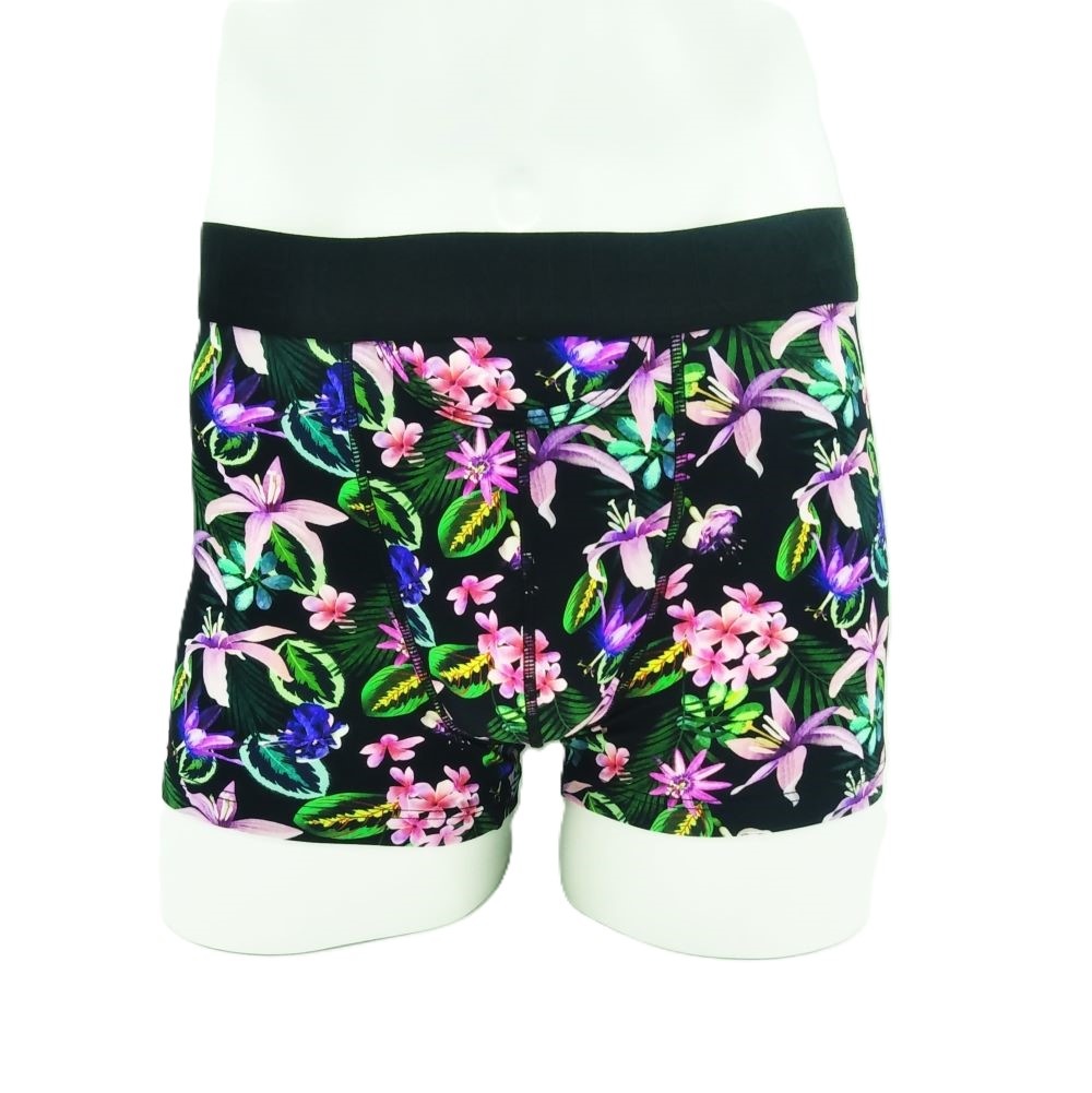 ASIA Boxer Briefs HO1 �ץ���