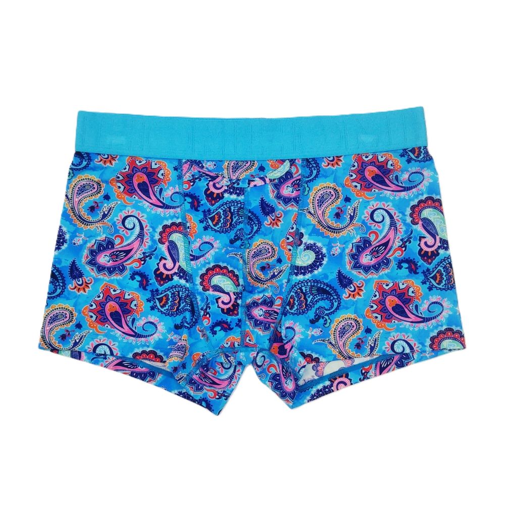 ASIA Boxer Briefs HO1 �ץ���