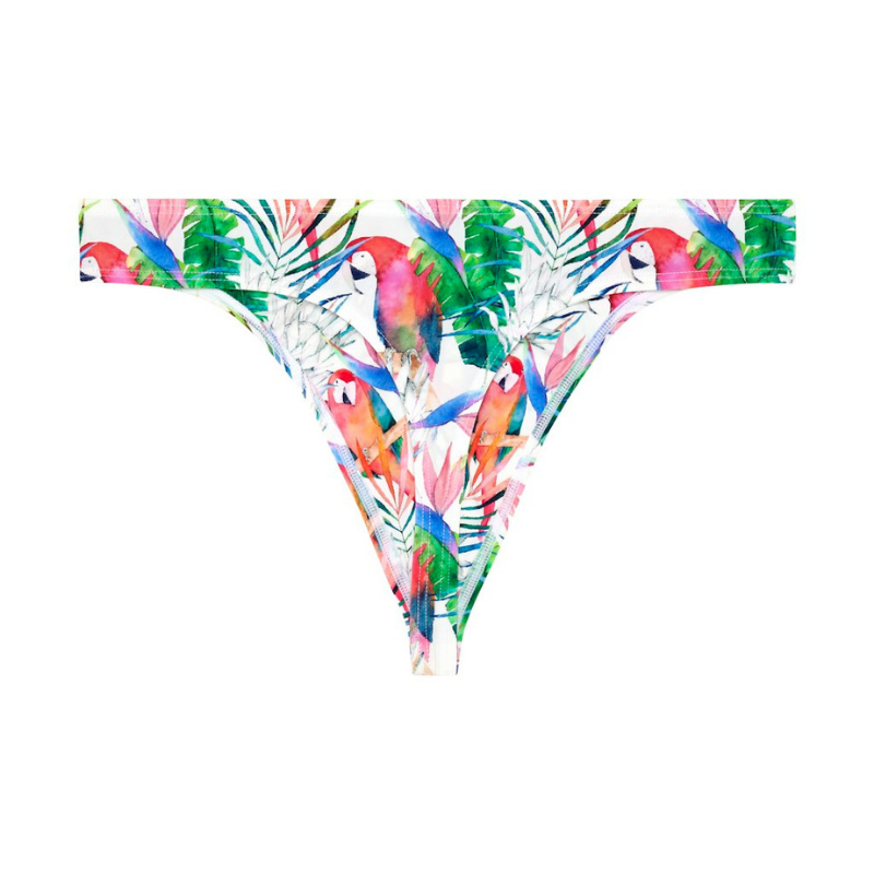 ASIA G-String �ץ�����