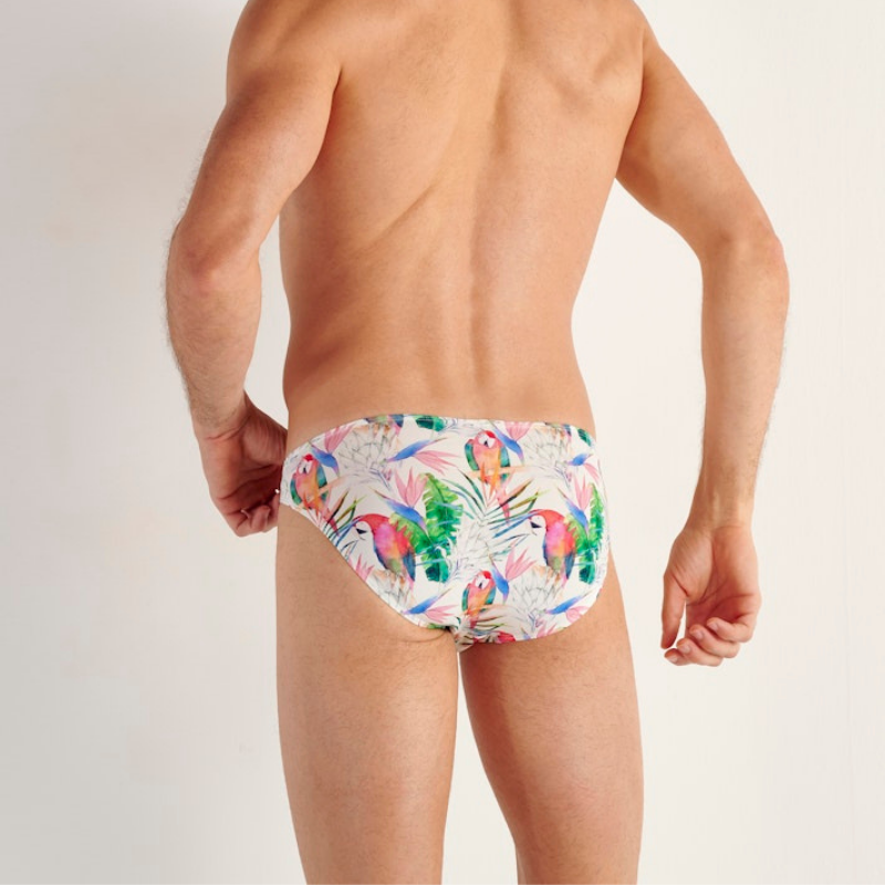 ASIA Comfort Micro Briefs�̎ߎ؎ݎ�