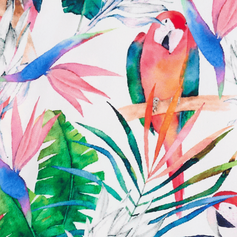 ASIA Comfort Micro Briefs�̎ߎ؎ݎ�