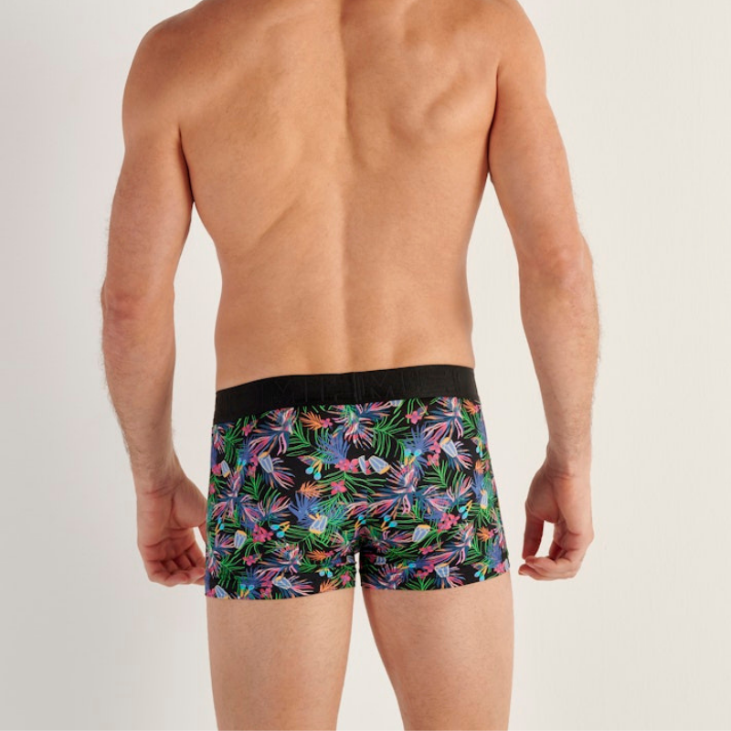 ASIA Boxer Briefs HO1 �ץ���