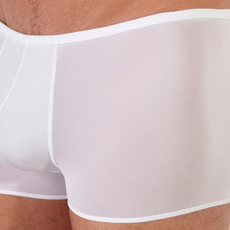 HOM��BASIC��TRUNK (404755-0003)