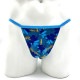 ASIA Tanga Briefs ץ