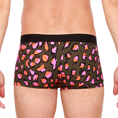 �ȥ��ɥܥ����� LEONARD 401938-4000XD