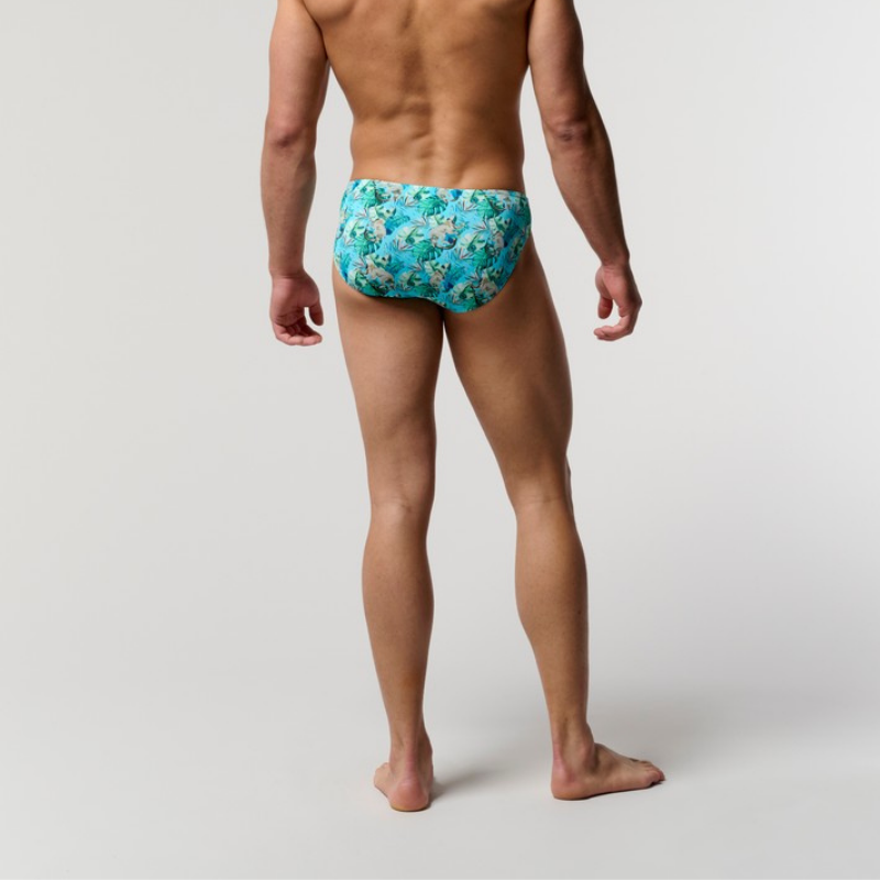 ASIA Comfort Micro Briefs�̎ߎ؎ݎ� (403263-P0PF)