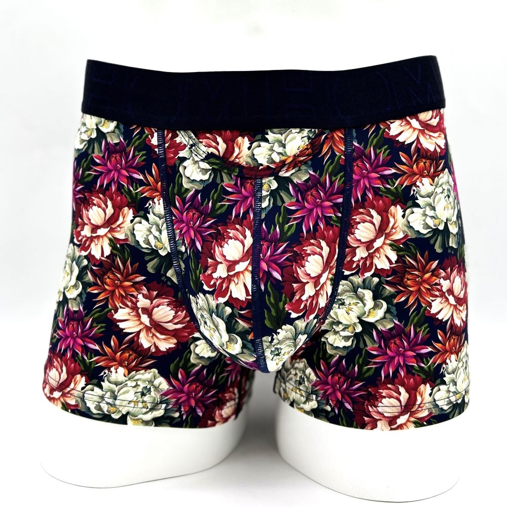 ASIA Boxer Briefs HO1 ץ