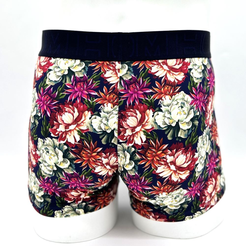 ASIA Boxer Briefs HO1 ץ