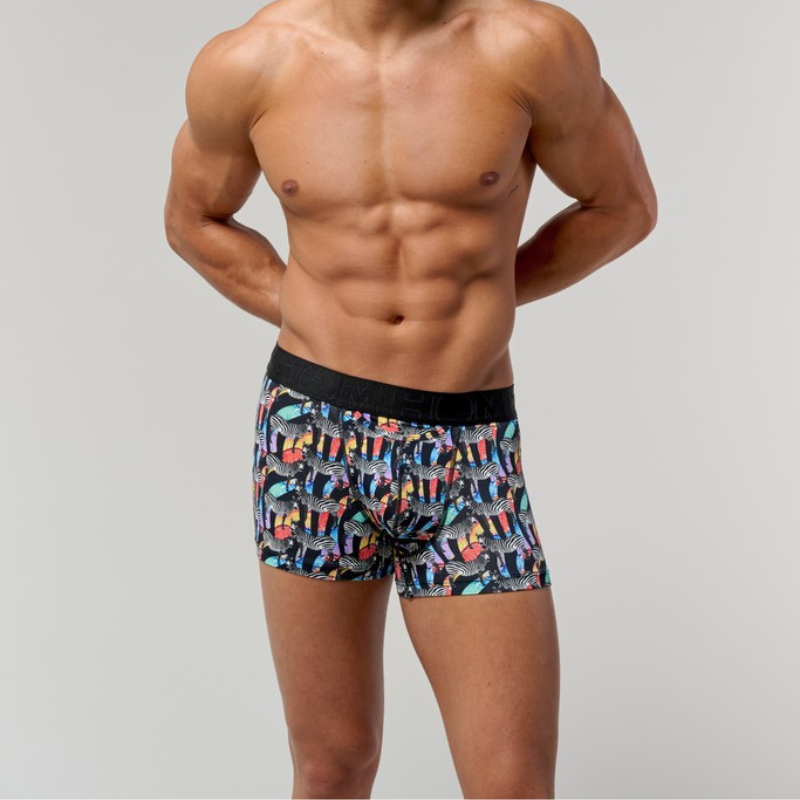 ASIA Boxer Briefs HO1 �ץ��� (403264-P023)