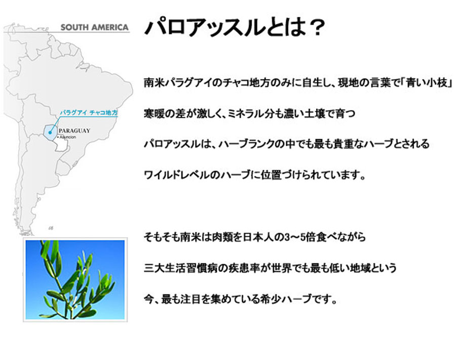 < HU >  チャーガ茶 / リテプレミアム 30g (1g×30包入り)