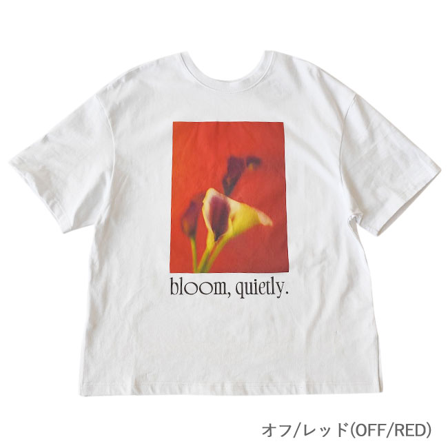 < WHYTO. > 2way フォトプリント Tシャツ