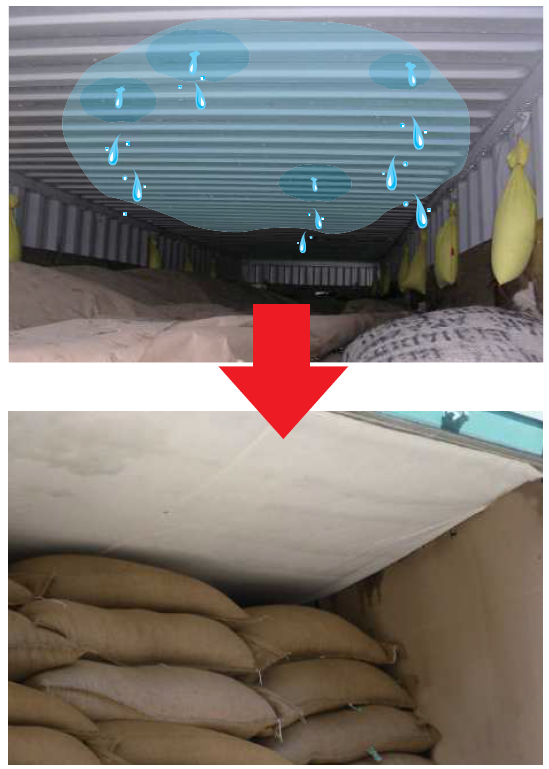 �ڷ�Ϫ�����ɻߤˡ���CT�����ȡ�20�ե������ѡ�40�ե������ѡ�