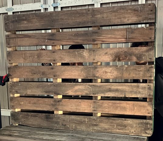 �ں߸˸¤ꡪ�ò��������С���14����������ѥ�åȡ�ξ����������/��󥿥륢�å��ʡ�