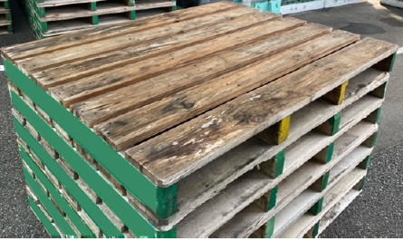 �ں߸˸¤ꡪ�ò��������С���14����������ѥ�åȡ�ξ����������/��󥿥륢�å��ʡ�