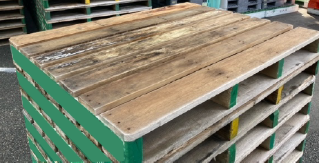 �ں߸˸¤ꡪ�ò��������С���14����������ѥ�åȡ�ξ����������/��󥿥륢�å��ʡ�