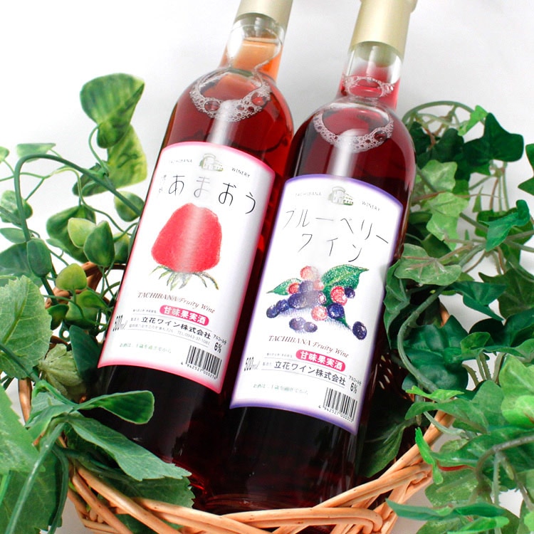 ワインと花と果物 立花ワイン 博多あまおうワイン+ブルーベリーワインセット （500ml×2本