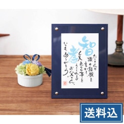 �͡��।��ݥ���ʥ֥롼�ˡ��ץꥶ���֥ɥե����������