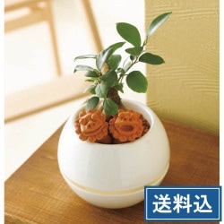 ������ޥ롡�����������������