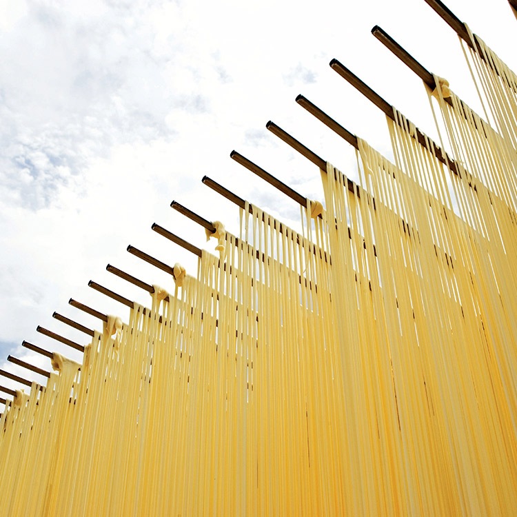 Ĺ������䤦�ɤ� �Ȥ�寡�200g��8�ޡˤ�������������10���� GS-S