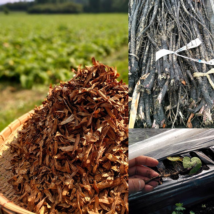 ������Τ��ܤ��� 175g