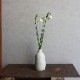 ƫ ҡɥ꡽ vase-SȺ