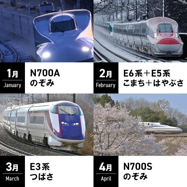 2026 ��������������