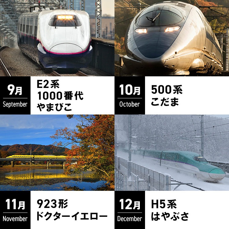 2026 ��������������