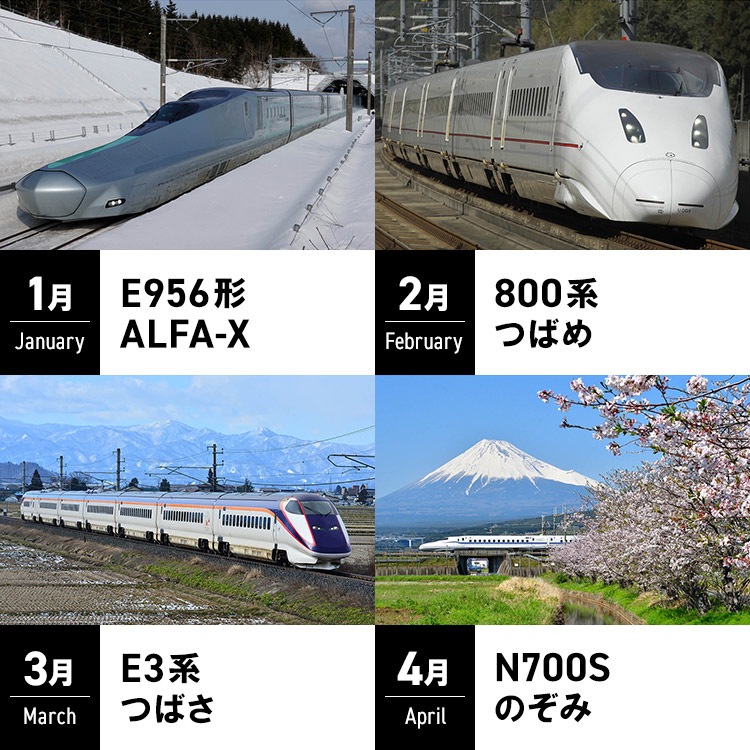 2026 ��������奫������