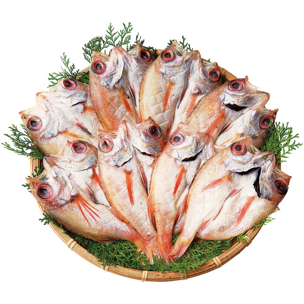 �纬������ŷ���Τɤ����������������