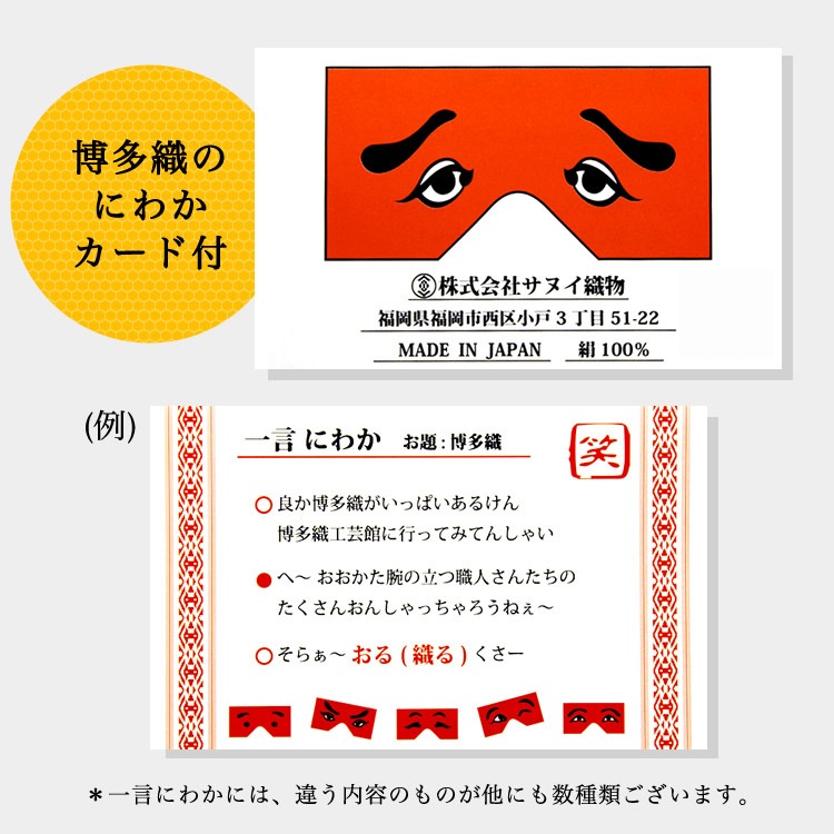 ̥ʪ ¿ ˤ狼ݡ5 24NWP3800