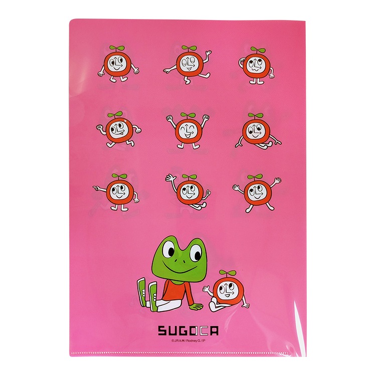 SUGOCA �����뤯������פ��� A4���ꥢ�ե�����