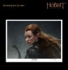 ホビット竜に奪われた王国 闇の森の娘　タウリエルのリトグラフ|The Hobbit　【ホビット：竜に奪われた王国】