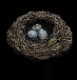 �ۥӥåȡ��ȥ������������������Ȥ�˹�ҡ�1��4�������롡�ߥ˥�ץꥫ��HAT OF RADAGAST 1:4 Scale