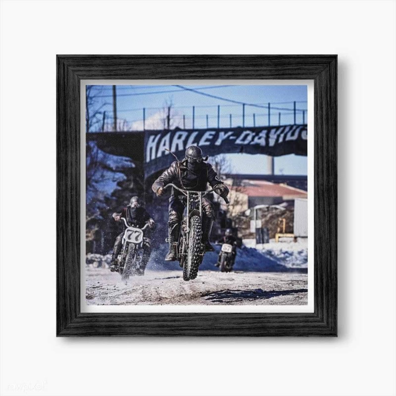 �ϡ��졼 �졼�� �����Х� �ݥ����� PH11